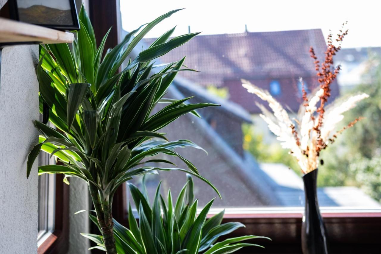 Nature Terminal Apartment - Unterwegs Zuhause Steinenbronn Eksteriør bilde