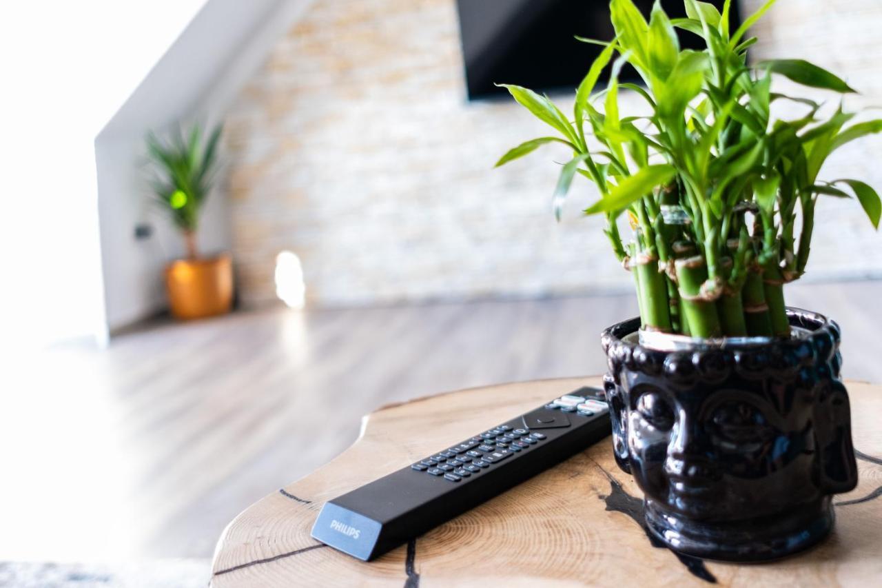 Nature Terminal Apartment - Unterwegs Zuhause Steinenbronn Eksteriør bilde